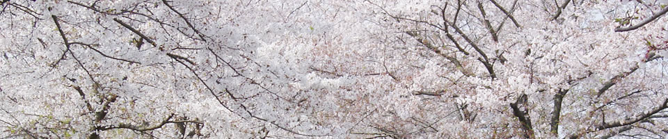 イベント
