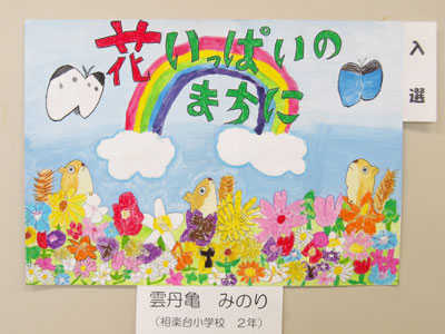 入選 雲丹亀 みのり