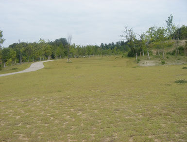 城山台公園4